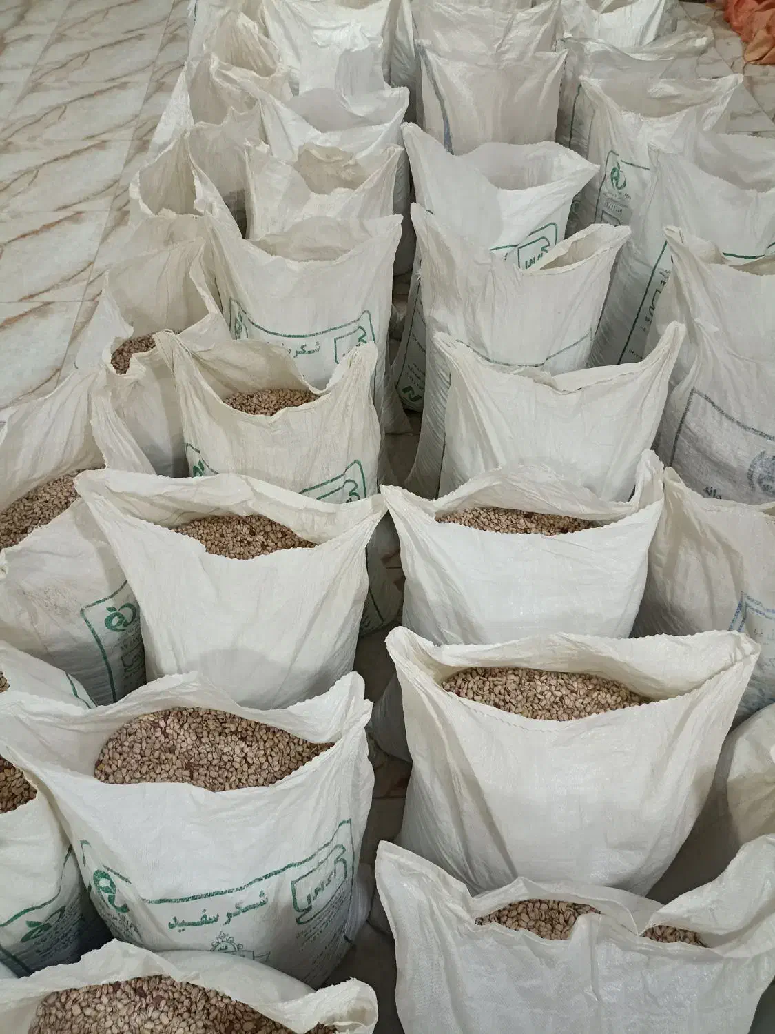 لوبیا چیتی تازه امسال خودم کاشت کردم و پاک شده|خوردنی و آشامیدنی|صومای برادوست, |دیوار