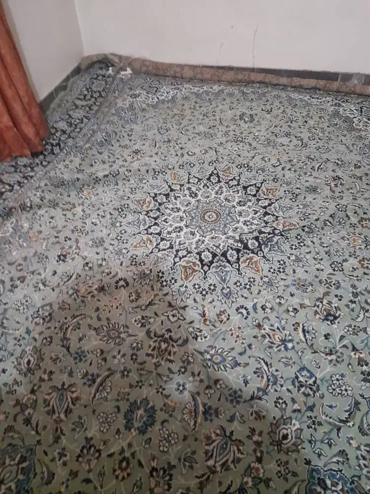 دوعدد فرش|فرش|خرمشهر, |دیوار