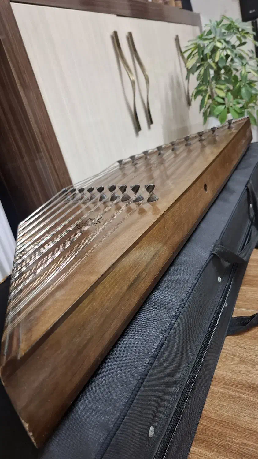 سنتور فرد|سازهای سنتی|اصفهان, چشمه باقرخان|دیوار