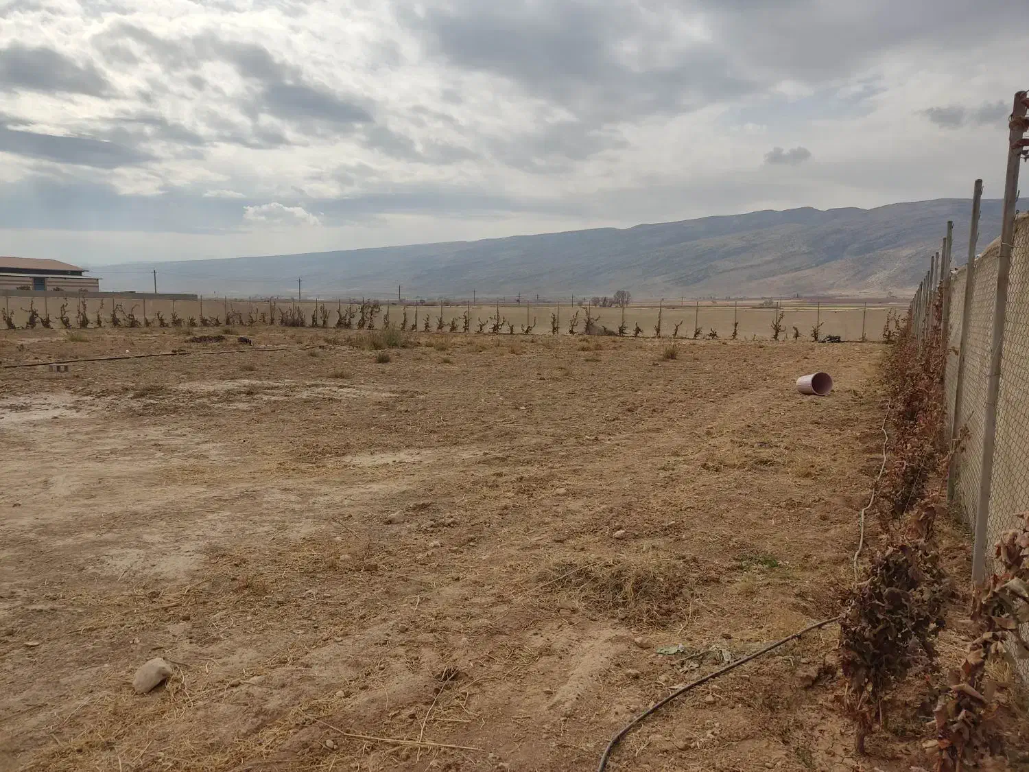 فروش زمین با مجوز گلخانه (باغشهری)|فروش دفتر صنعتی، کشاورزی، تجاری|شیراز, بید زرد|دیوار