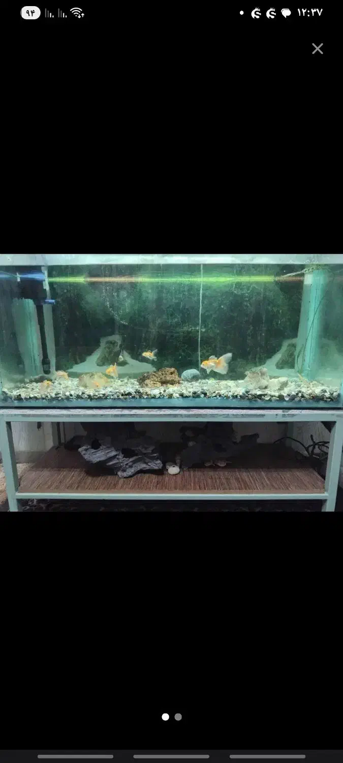 آکواریوم با همه وسایل فقط|لوازم جانبی حیوانات|آذرشهر, |دیوار