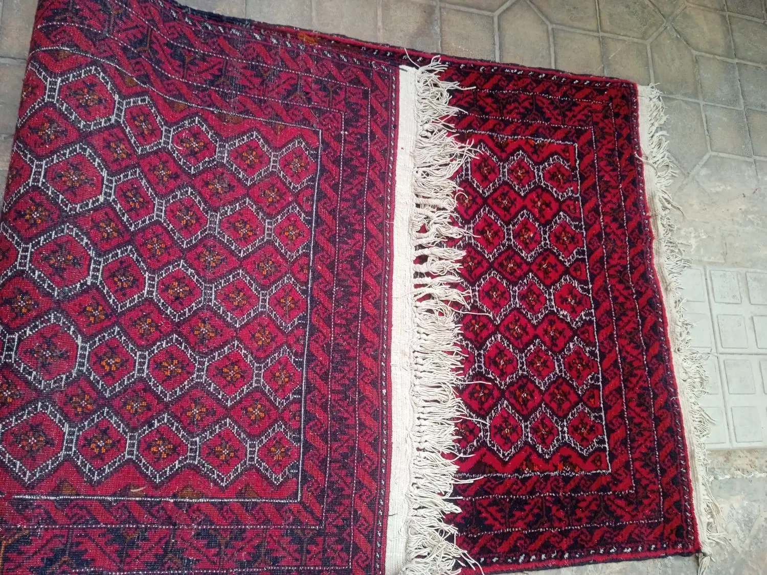 قالیچه دستباف نو|فرش|تربت‌حیدریه, مظفریه|دیوار