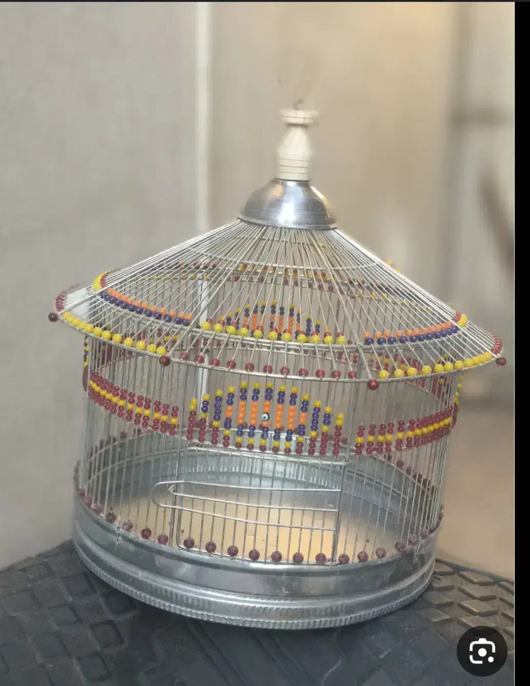 جوجه سهره بخون|پرنده|قم, هنرستان|دیوار