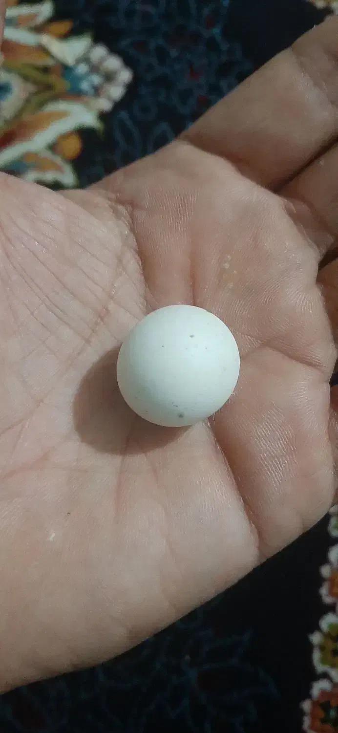 سنگ الماس اسیاب فروشی|جواهرات|بهارستان, |دیوار