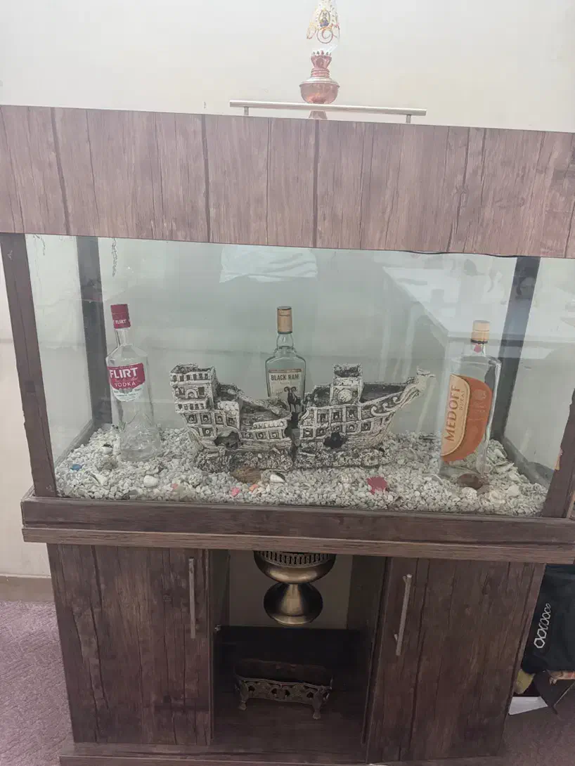آکواریوم ۱۰۰ سانت با کمد چوبی ام دی اف|ماهی|شیراز, معالیآباد|دیوار