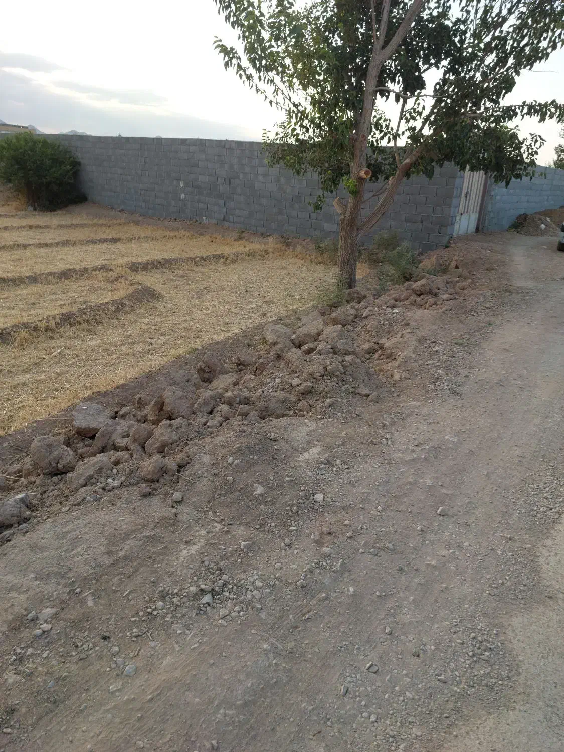 اجاره 100هکتار زمین کشاورزی وردشت سمیرم|اجارهٔ دفتر صنعتی، کشاورزی، تجاری|وردشت, |دیوار