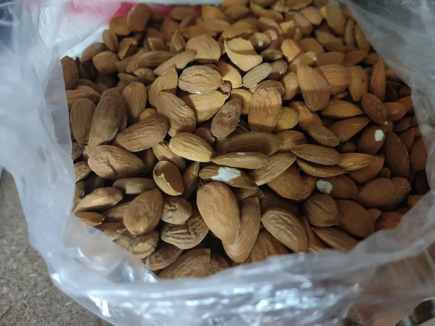 بادام شیرین|خوردنی و آشامیدنی|گلپایگان, |دیوار