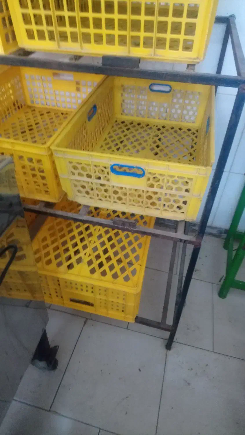 سبد|ظروف نگهدارنده، پلاستیکی، یک‌بارمصرف|پاکدشت, پاکدشت (مامازند)|دیوار