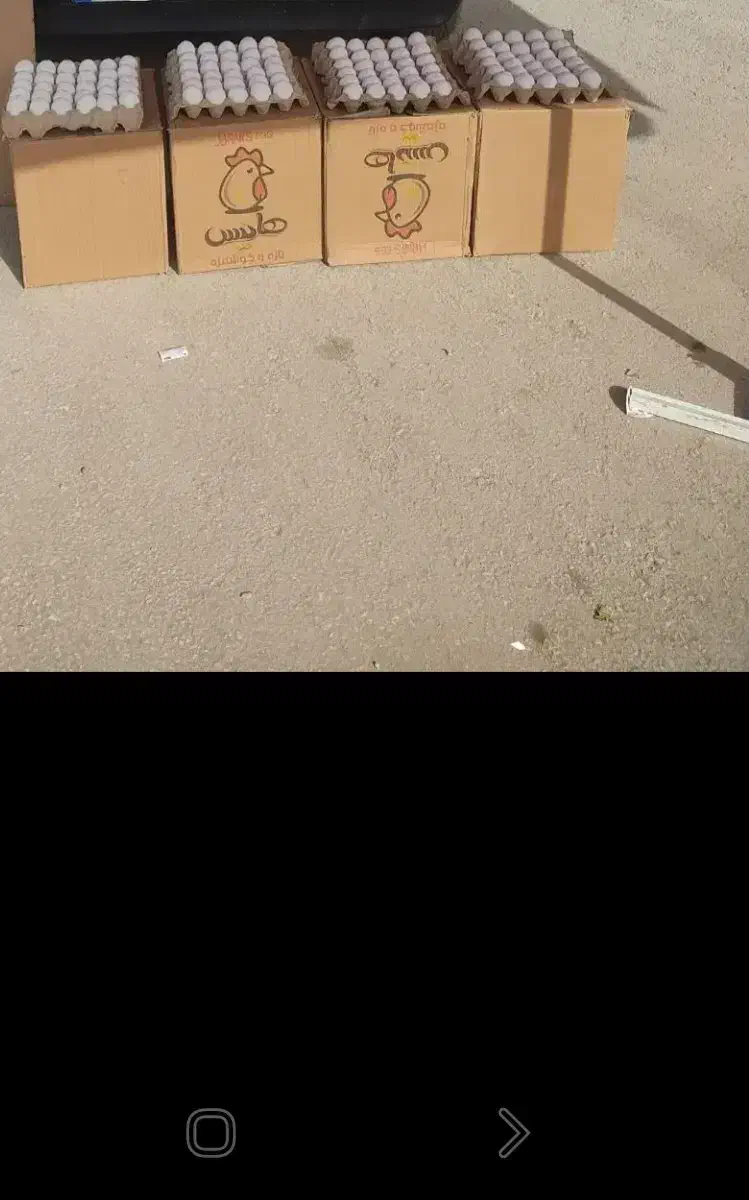 ۳۰۰|عمده‌فروشی|سرپل ذهاب, |دیوار