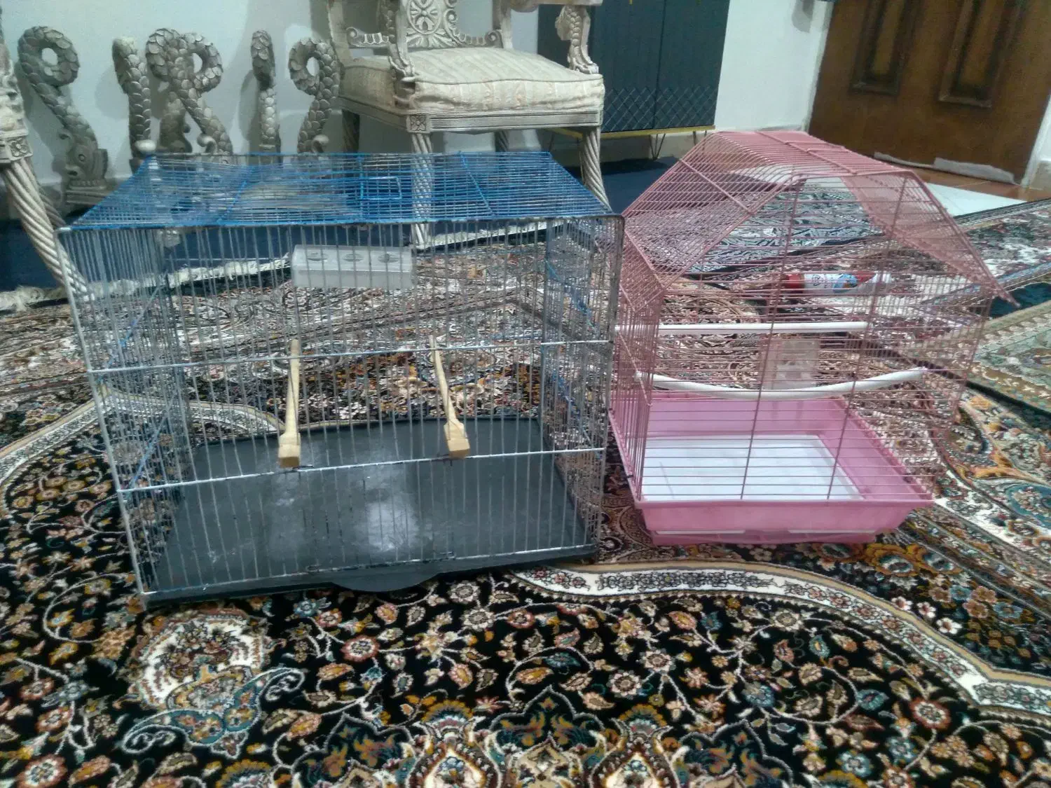 قفس|لوازم جانبی حیوانات|فردیس, داوری|دیوار