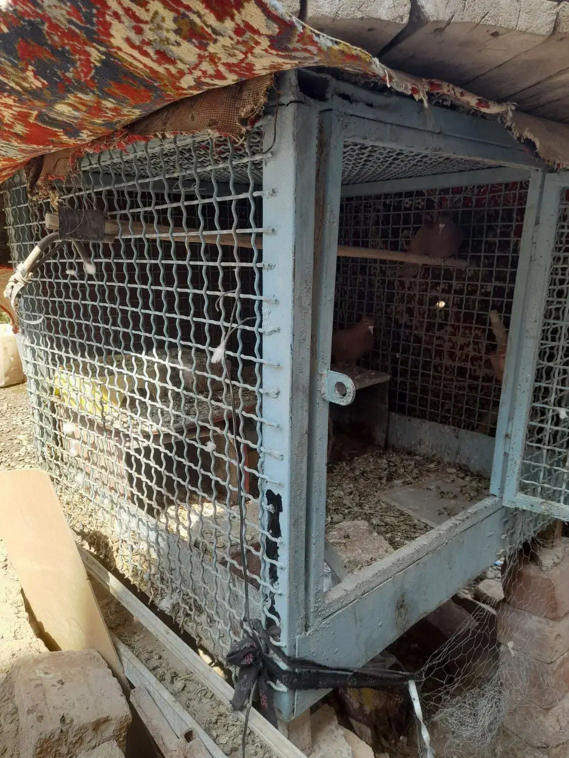 قفس مرغ وکبوتری|لوازم جانبی حیوانات|خاش, |دیوار