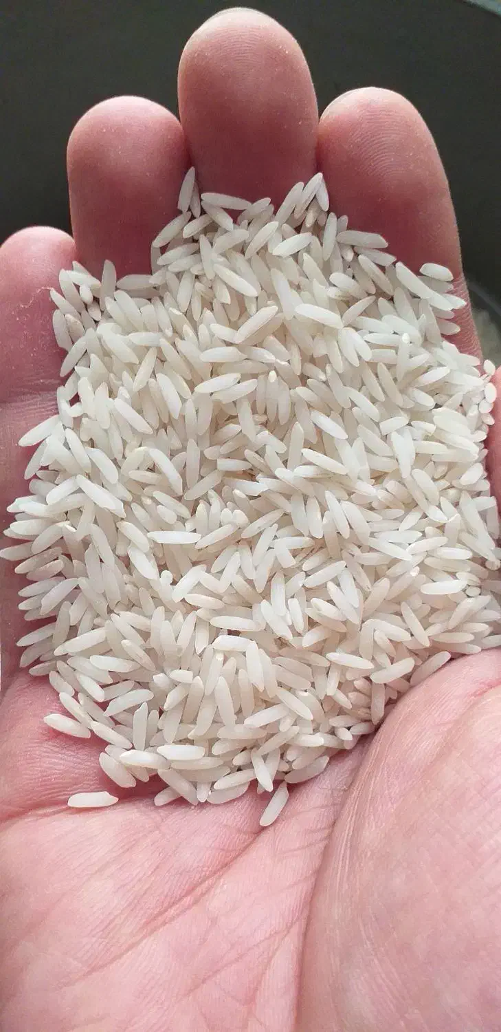 برنج معطر بدون واسطه از کشاورز، طارم ، طارم هاشمی|خوردنی و آشامیدنی|تهران, مینای شمالی (مخبر)|دیوار