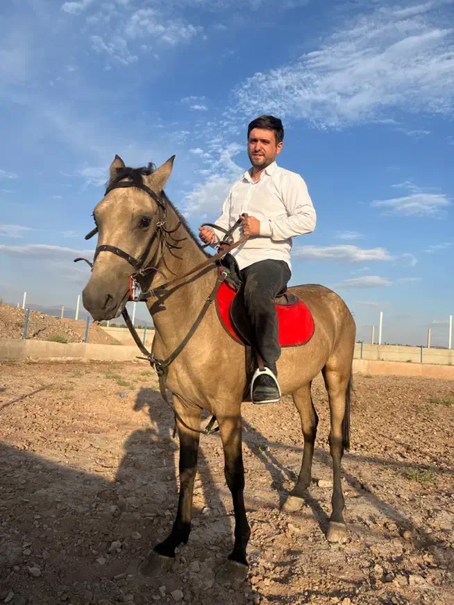 اسب سمند ترکمن|اسب و تجهیزات اسبسواری|مرند, |دیوار