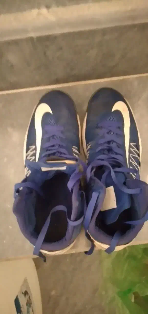 کتونی خارجی|کیف، کفش، کمربند|قم, شاه سید علی|دیوار