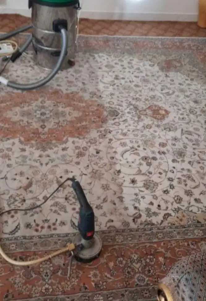 خدمات مبل شویی قالی شویی تخصصی ایلقار با سابقه|خدمات نظافت|تبریز, |دیوار