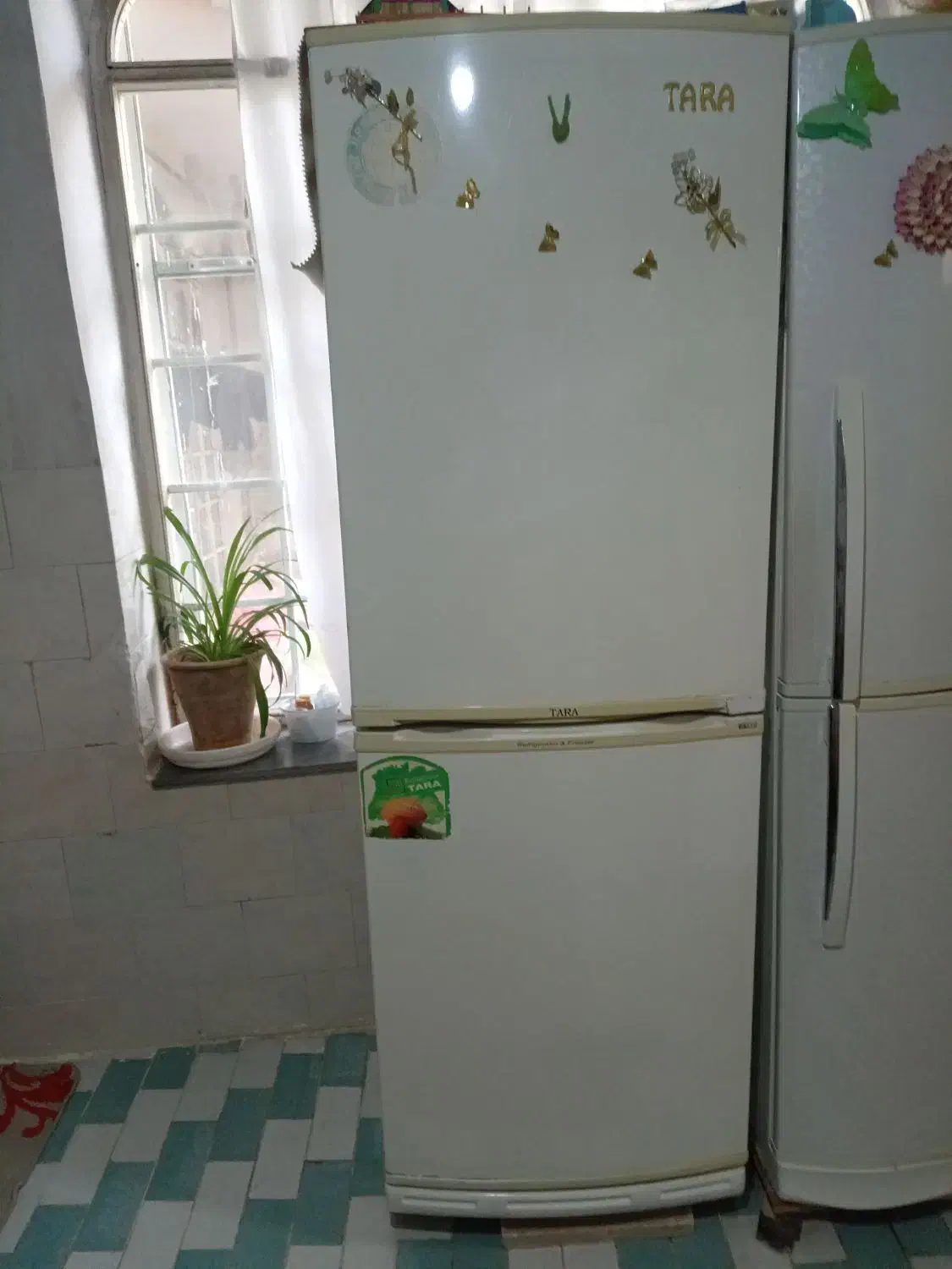 یخچال فریزر|یخچال و فریزر|خوی, |دیوار