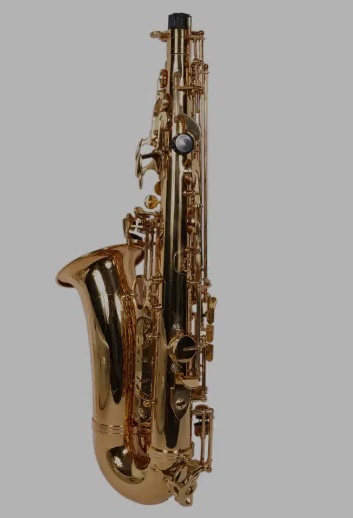 ساکسیفون آلتو سوزوکی طلائی|سازهای بادی|قزوین, |دیوار