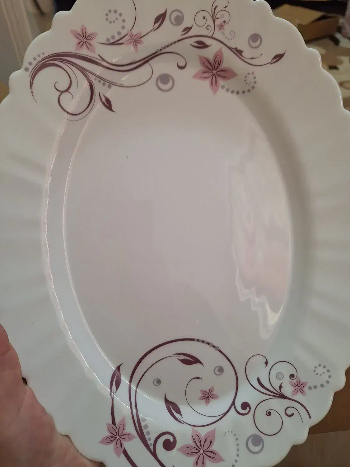 سرویس25پارچه آپال گرد|ظروف سرو و پذیرایی|رشت, یخسازی|دیوار