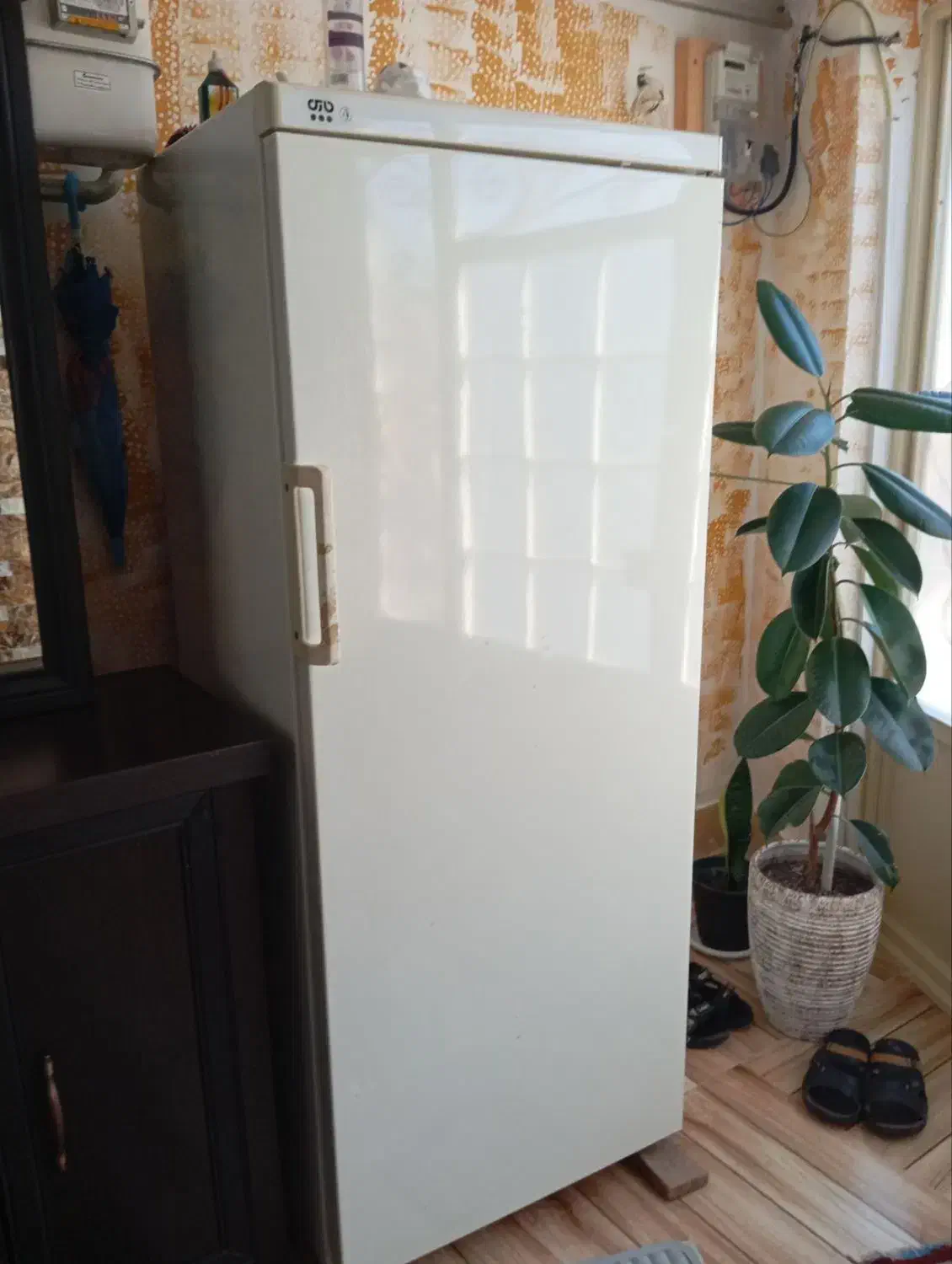 یخچال قدیمی|کلکسیون اشیاء عتیقه|اهر, |دیوار