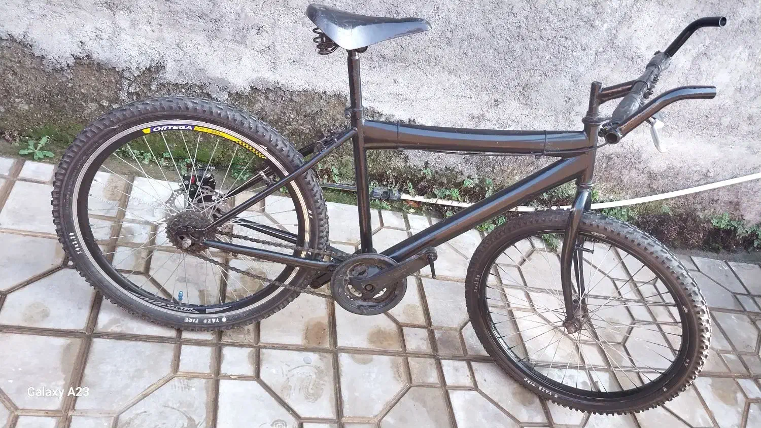 دوچرخه ۲۴|دوچرخه، اسکیت، اسکوتر|مزرعه کتول, |دیوار