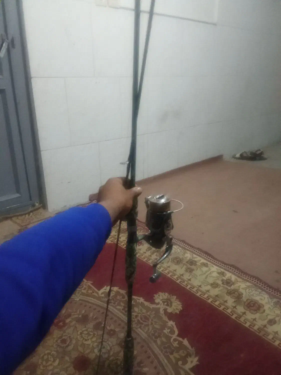 لنسر ماهی گیری|ماهیگیری|اصفهان, ناصرخسرو|دیوار