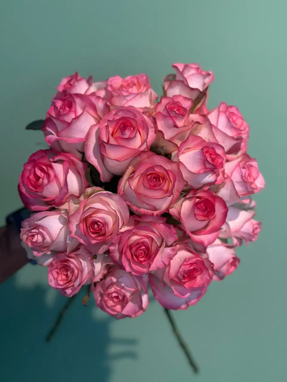 گل‌آرایی حرفه‌ای و خاص برای لحظه‌های خاص شما|گل و گیاه طبیعی|بندر کنگان, |دیوار