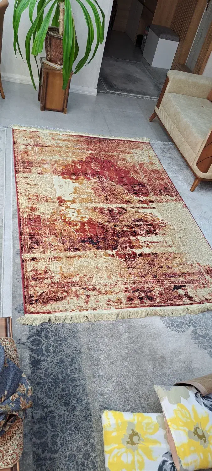 فرش ۴ متری|فرش|شیراز, وصال|دیوار