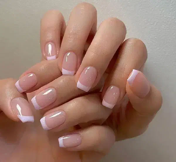 ک ا ش ت|آرایشی، بهداشتی، درمانی|تربت جام, کشتارگاه|دیوار