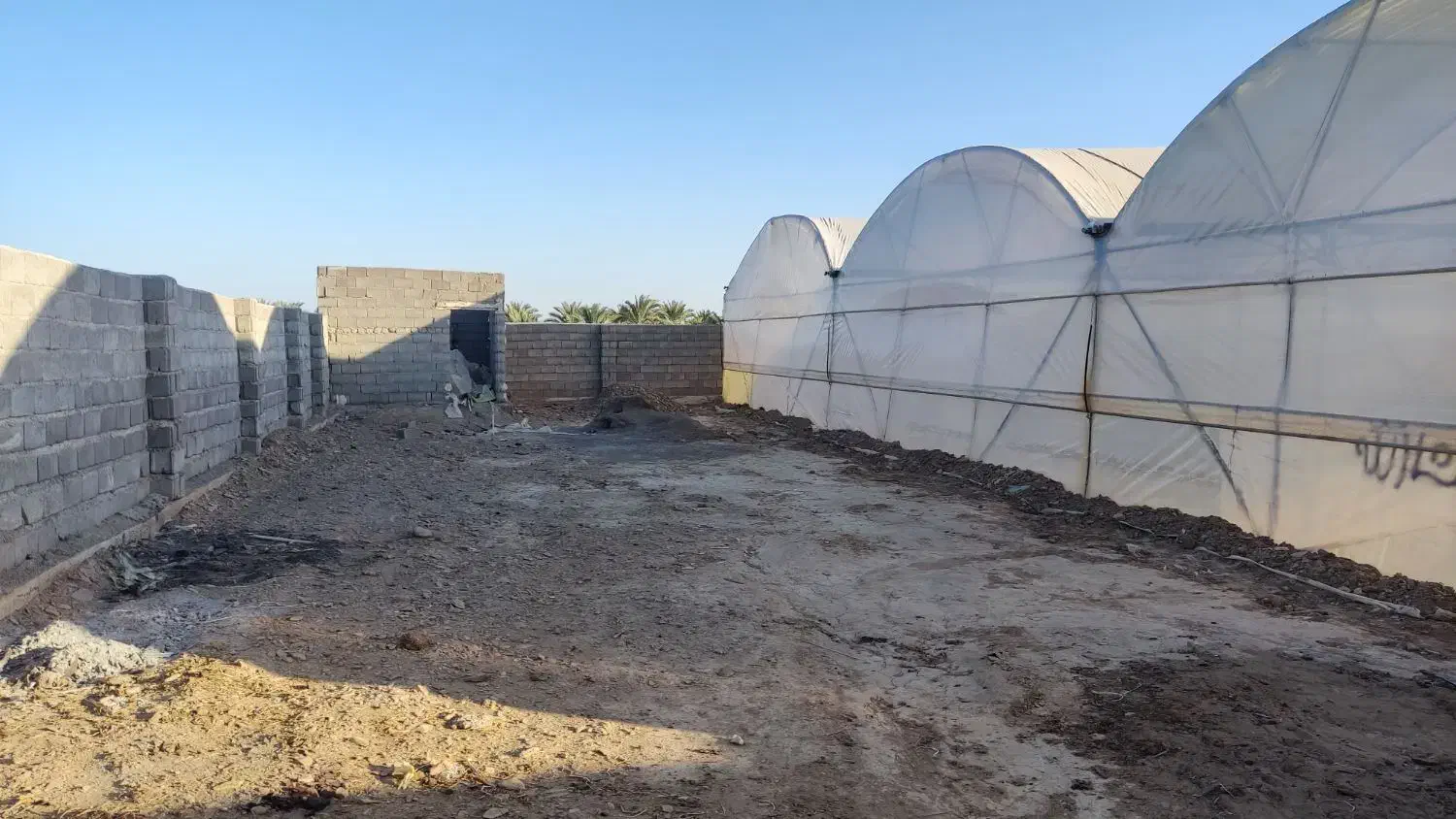 گلخانه|فروش دفتر صنعتی، کشاورزی، تجاری|سیب و سوران, |دیوار