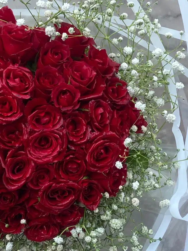 گل آستر|گل و گیاه طبیعی|رشت, دیلمان|دیوار