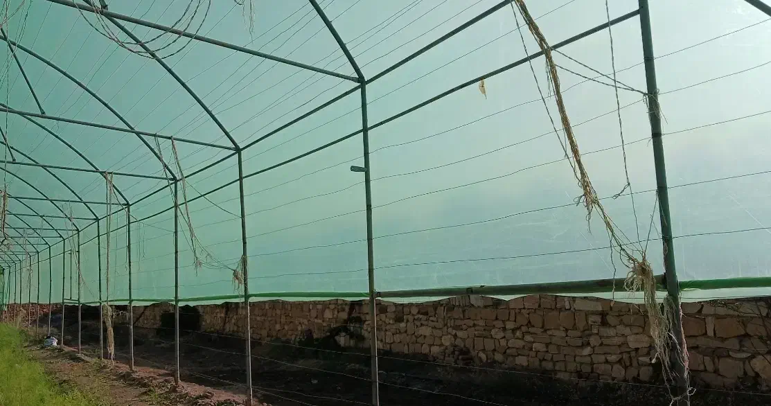 گلخانه|عمده‌فروشی|سبزوار, ابارش|دیوار