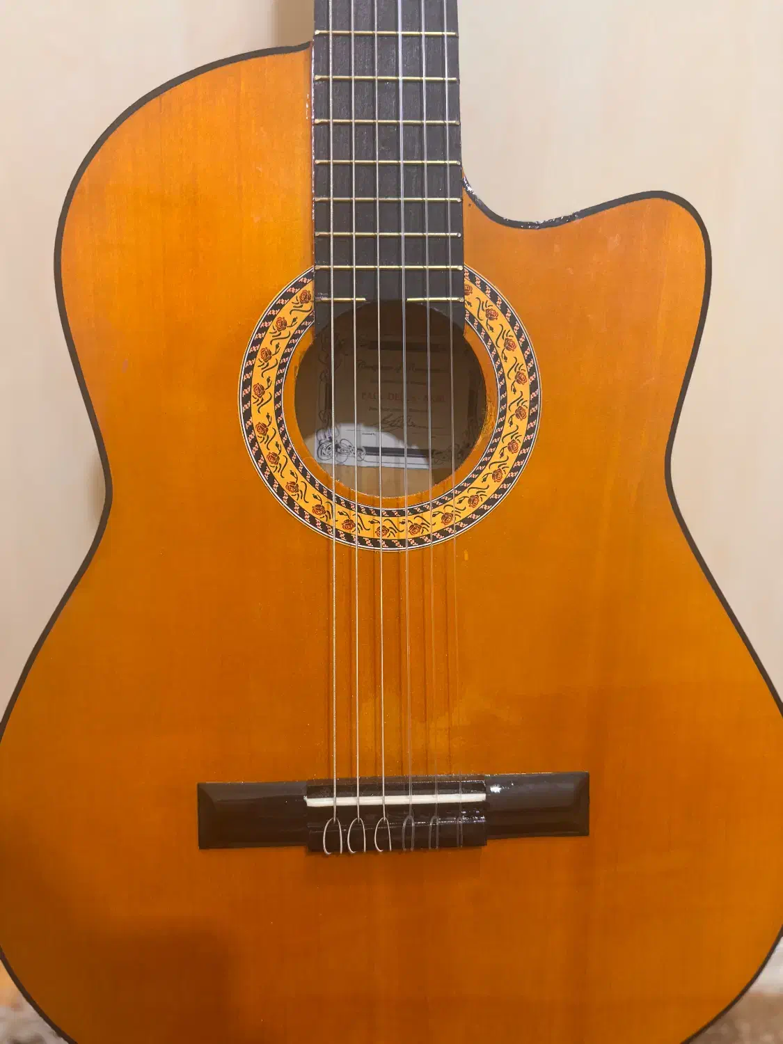 گیتار آموزشی|گیتار، بیس، امپلیفایر|زاهدان, |دیوار