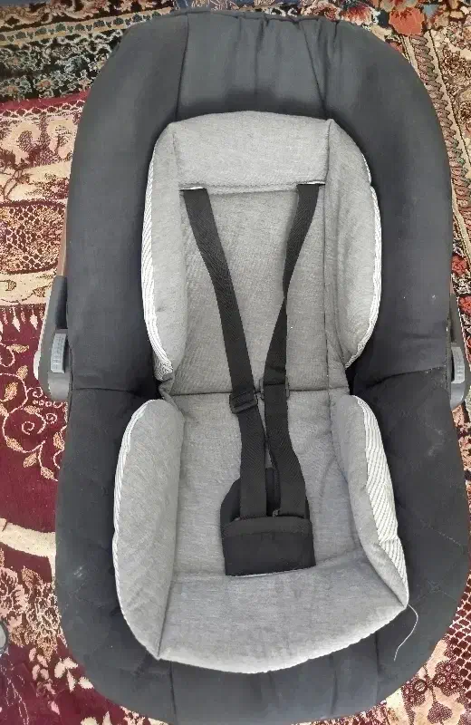 کریر کاملا نو|کالسکه و لوازم جانبی|زرند, |دیوار