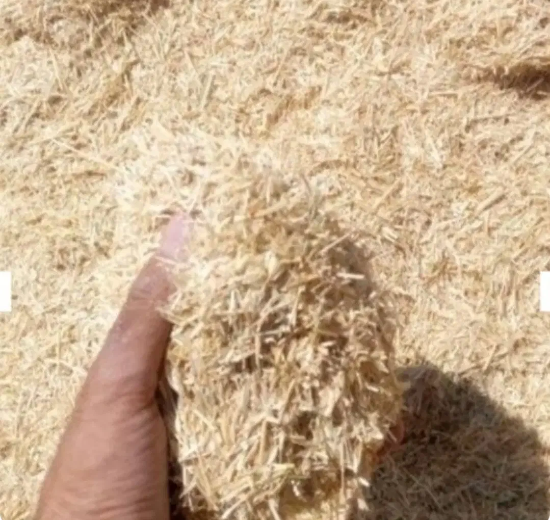 کاه دیم|لوازم جانبی حیوانات|سربند, |دیوار