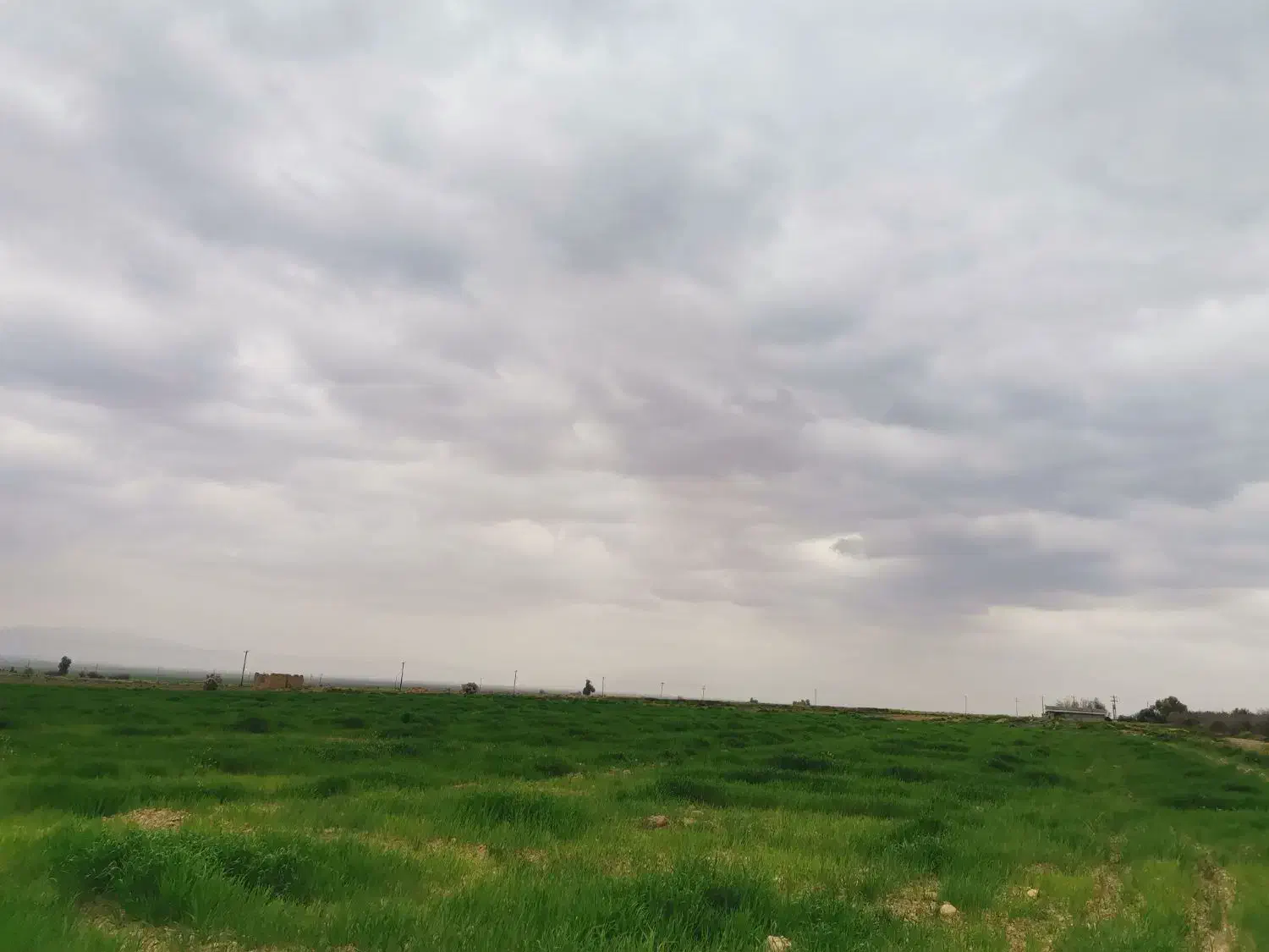 فروش فوق العاده زمین کشاورزی|فروش دفتر صنعتی، کشاورزی، تجاری|شیراز, قصرالدشت|دیوار