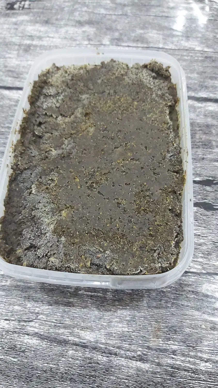 سبزی سرخ شده|خوردنی و آشامیدنی|رشت, حمیدیان|دیوار