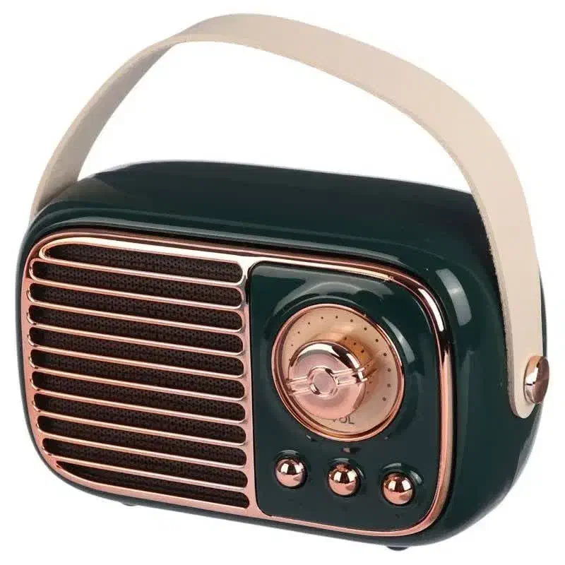 اسپیکر فانتزی طرح رادیو / گریت نایس|پخشکننده همراه|همدان, |دیوار