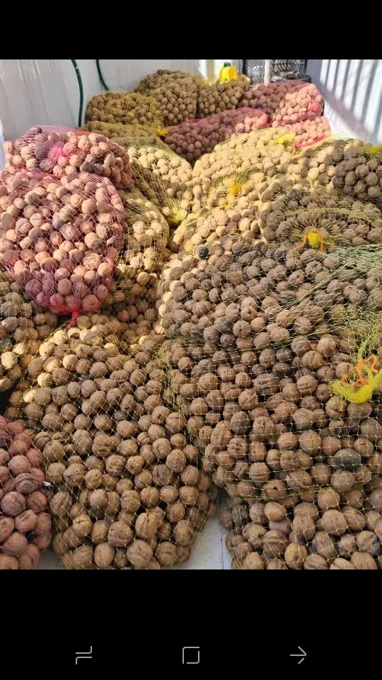 گردو|خوردنی و آشامیدنی|یزد, |دیوار