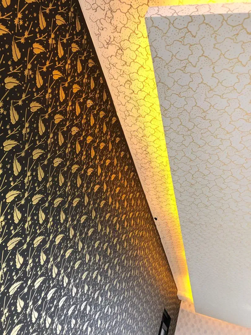 نقاشی ساختمان طرح کاغذدیواری|خدمات پیشه و مهارت|ماهدشت, |دیوار