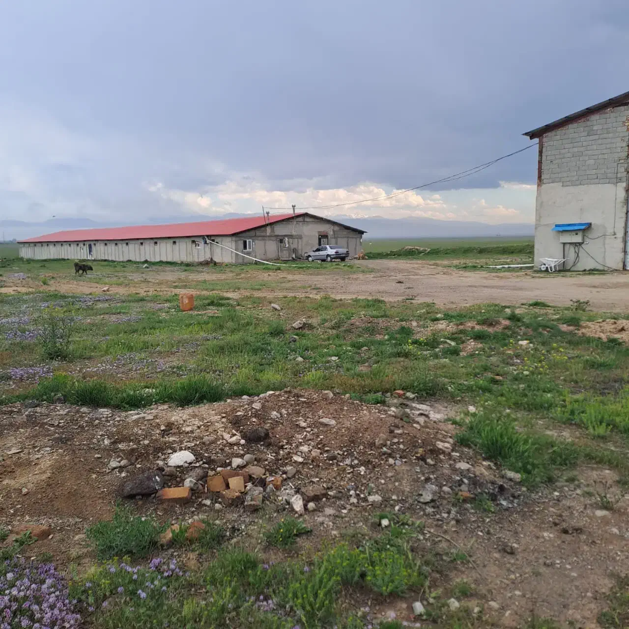 فروش یک واحد مرغداری ۷۰۰۰متر بادستگاههای اتوماتیک|فروش دفتر صنعتی، کشاورزی، تجاری|نمین, |دیوار