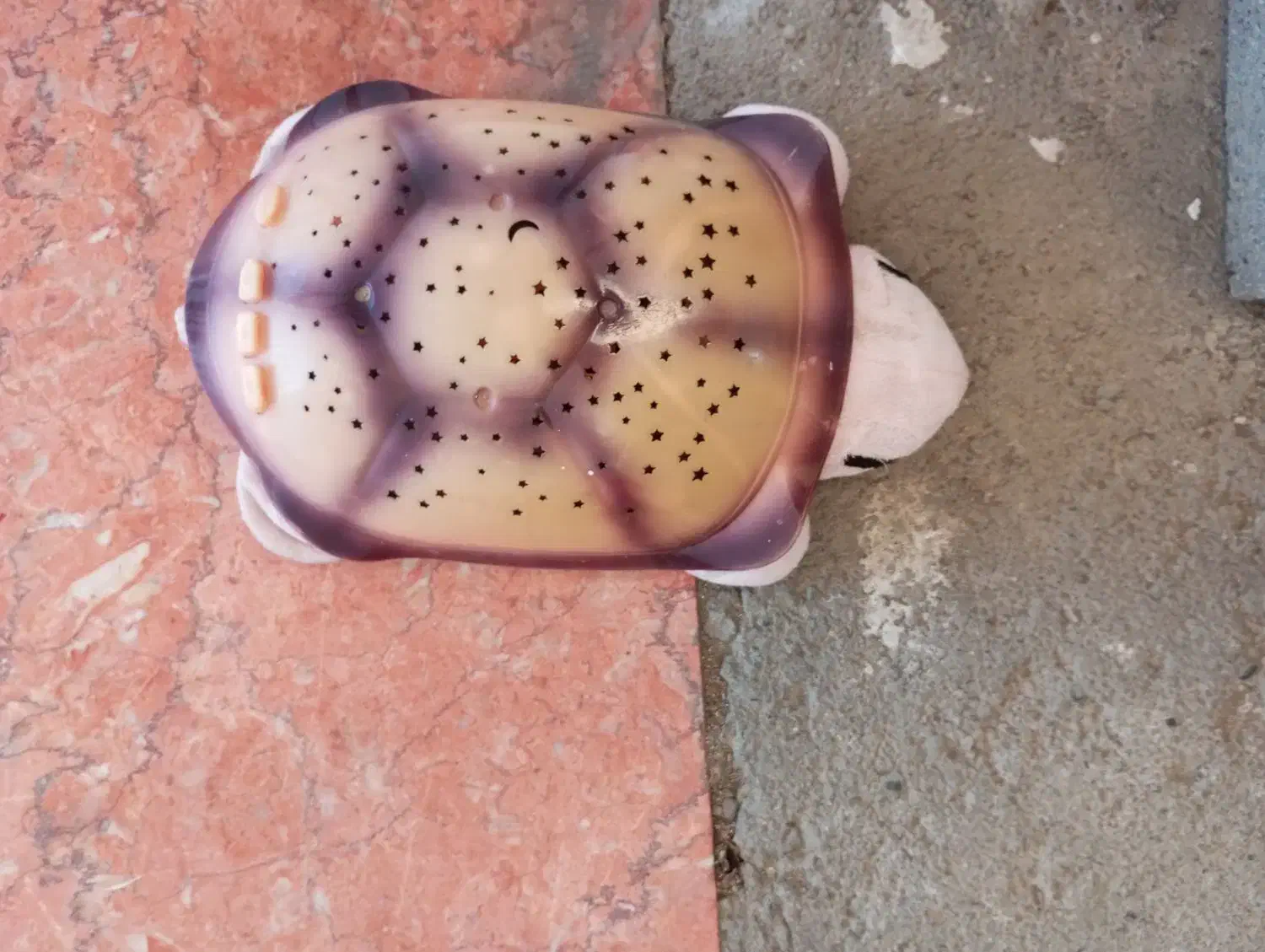 اسباب بازی|اسباب‌بازی بچه|سقز, |دیوار