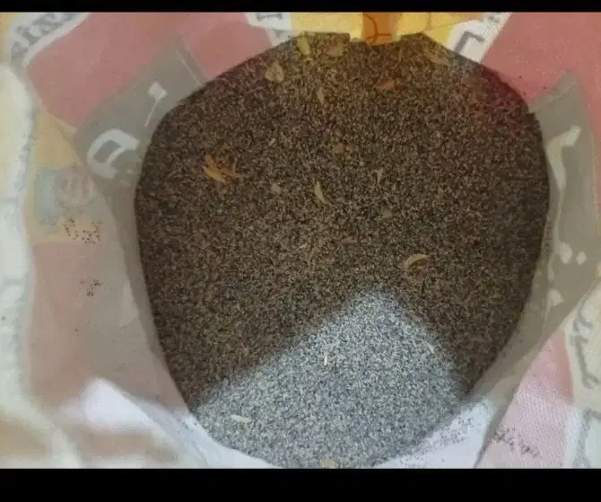 دانه خوراکی خشخاش|خوردنی و آشامیدنی|صدرا-فارس, فاز ۱|دیوار