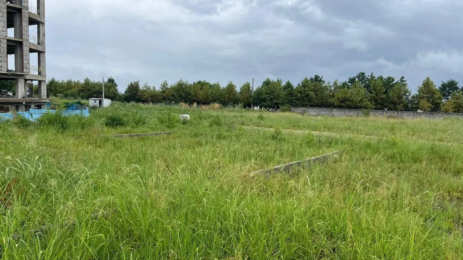 زمین های متراژبالا برای گلخانه وشهرک سازی|فروش زمین و ملک کلنگی|چالوس, |دیوار