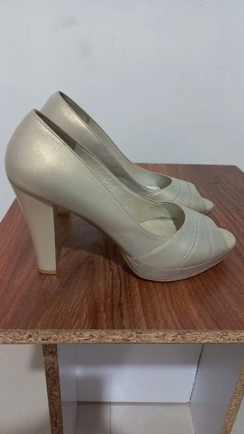 کفش مجلسی|کیف، کفش، کمربند|رشت, جانبازان|دیوار