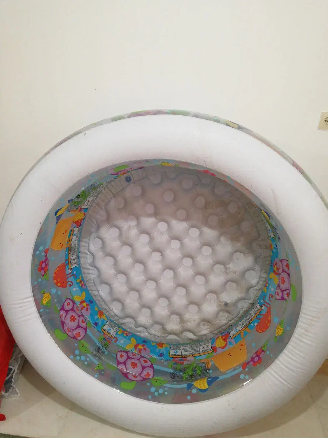 یک عدد استخربادی نو کاملا سالم به فروش میرسد|غواصی و ورزشهای آبی|شفت, |دیوار