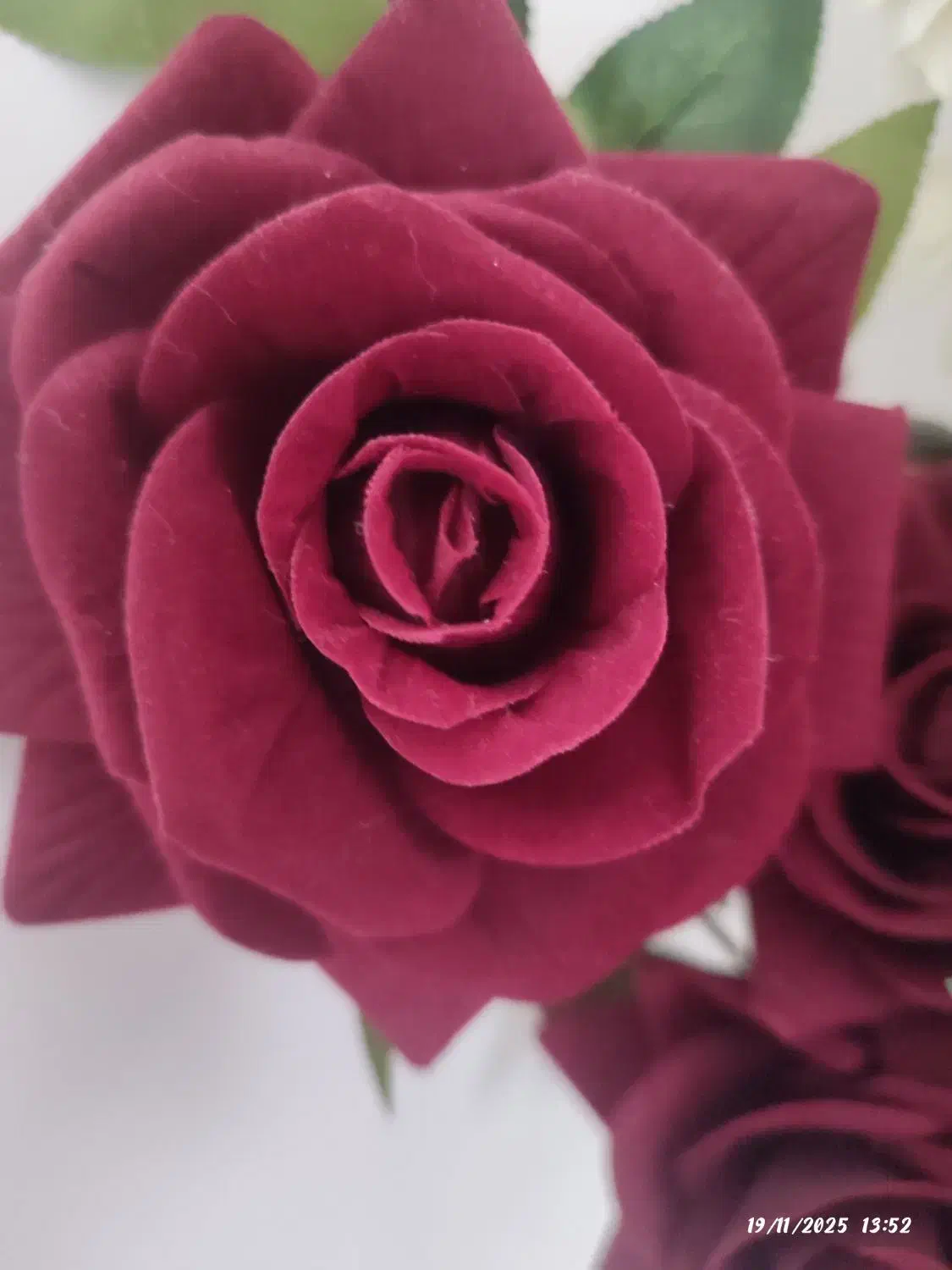 نظافت خونه|خدمات نظافت|شاندرمن, |دیوار