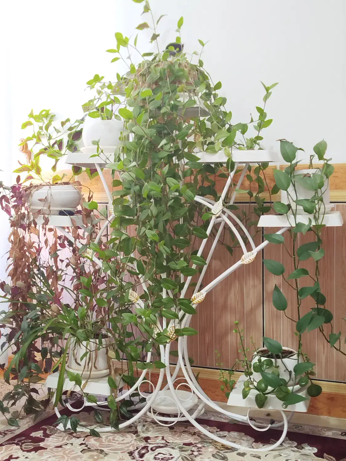 استند گلدان فلزی|صنایع دستی و سایر لوازم تزئینی|دره شهر, |دیوار