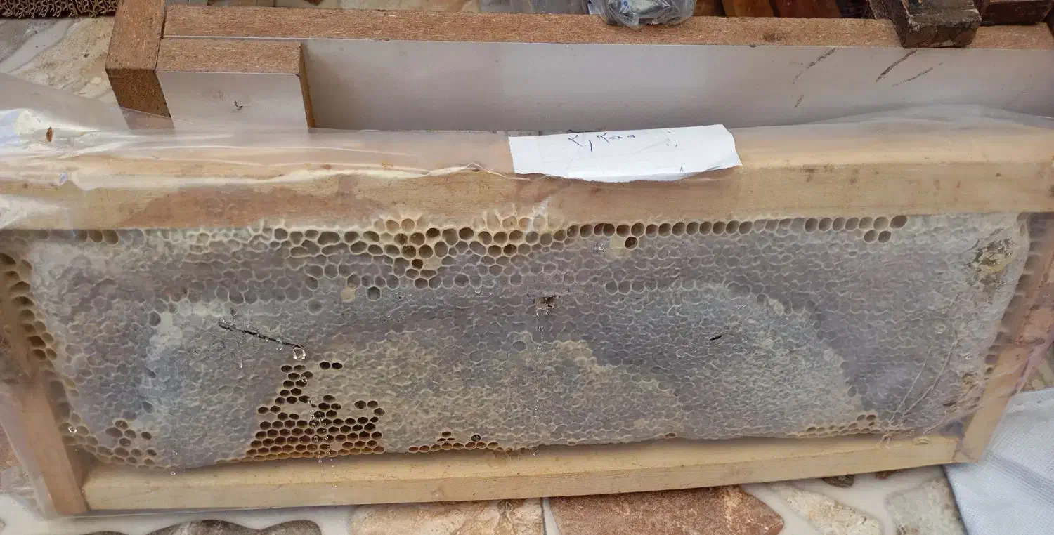 عسل|عمده‌فروشی|قدس, شهر‌قدس|دیوار