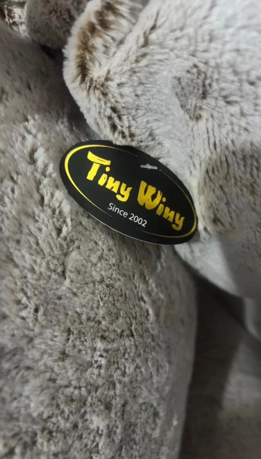 عروسک خرس|اسباببازی|صدرا-فارس, فاز ۱|دیوار