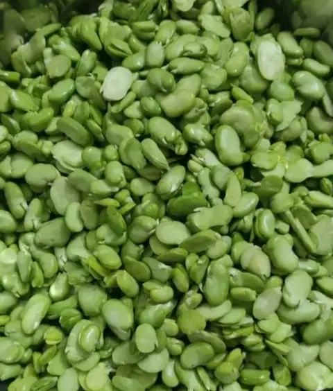باقلا|خوردنی و آشامیدنی|گرگان, |دیوار